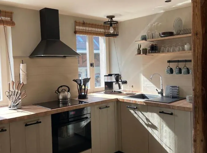 Lark Wanzleben-Borde